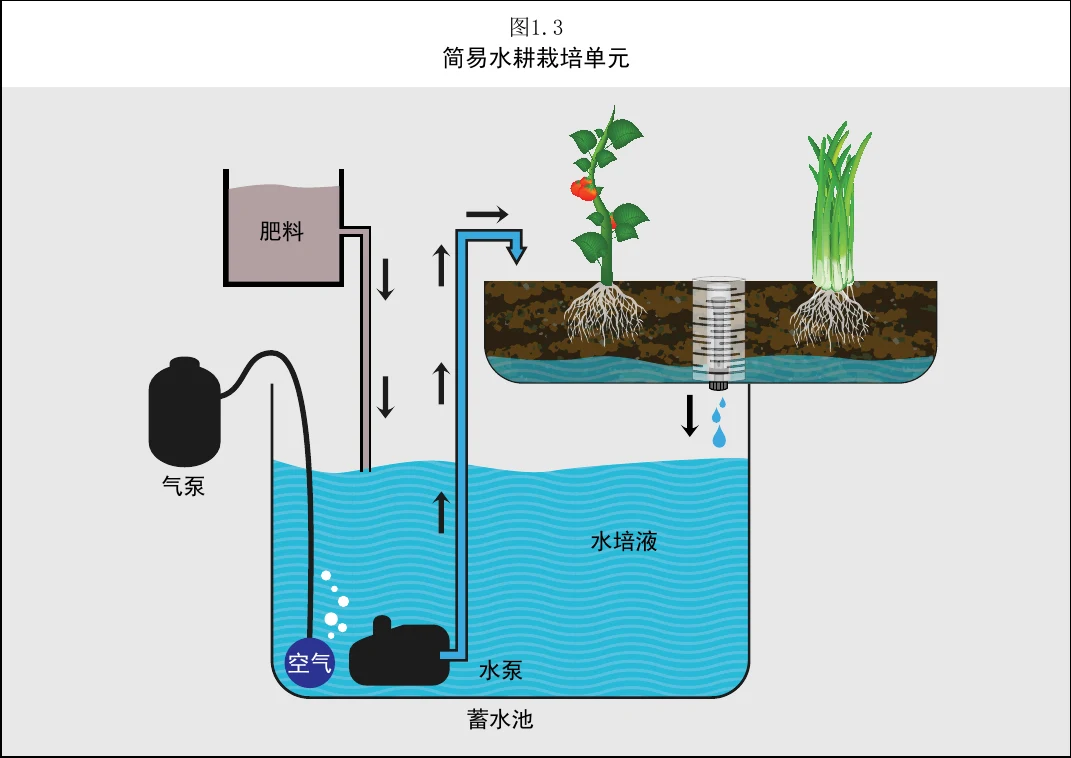 图 1.3　简单水培系统