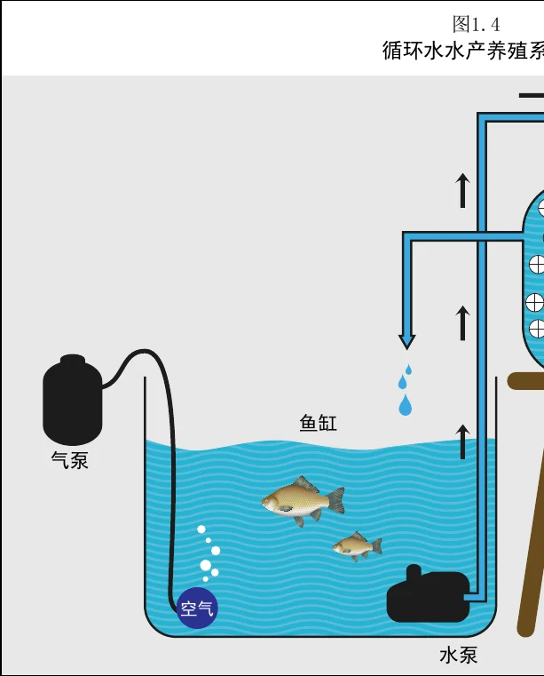 图 1.4　循环水产养殖系统