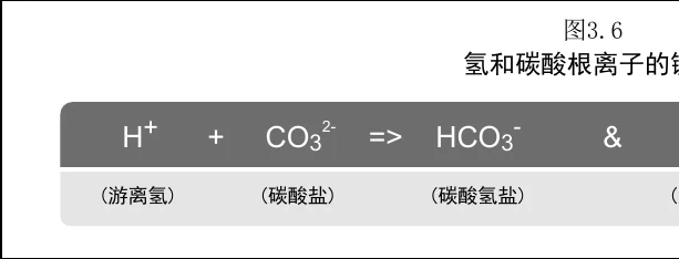 图 3.6 氢和碳酸根离子的键合