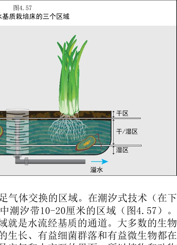 图 4.57　处于灌水期基质床的三个区域