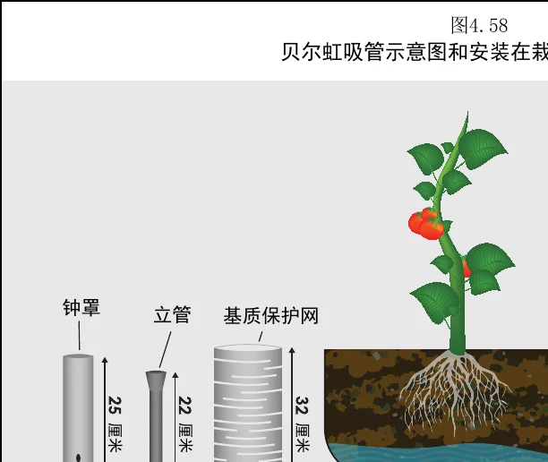 图 4.58　贝尔虹吸及安装在栽培床上各部分的示意图
