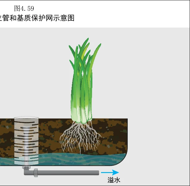 图 4.59　基质床竖管和基质阻拦网安装示意图
