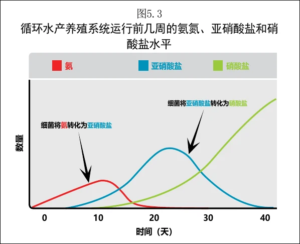 图 5.3　循环水产养殖系统运行开始几周的氨、亚硝酸盐及硝酸盐浓度变化