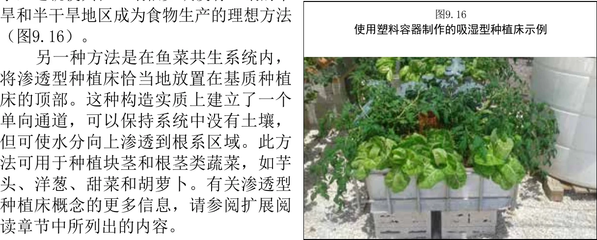 图 9.16　利用塑料桶制作的吸湿型种植床示例